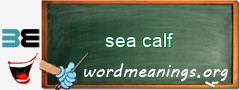 WordMeaning blackboard for sea calf